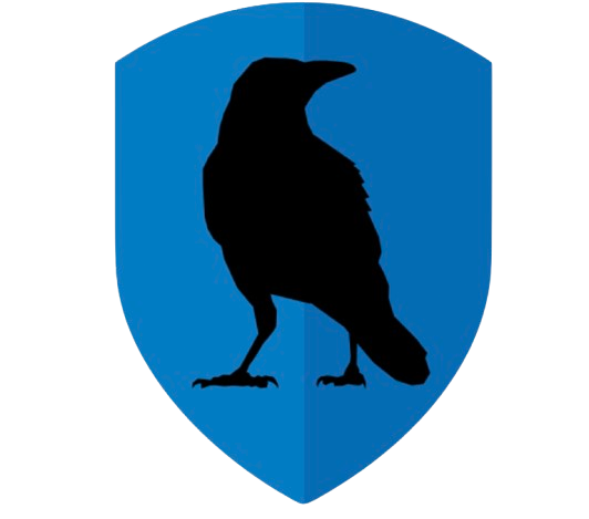 Riseup VPN
